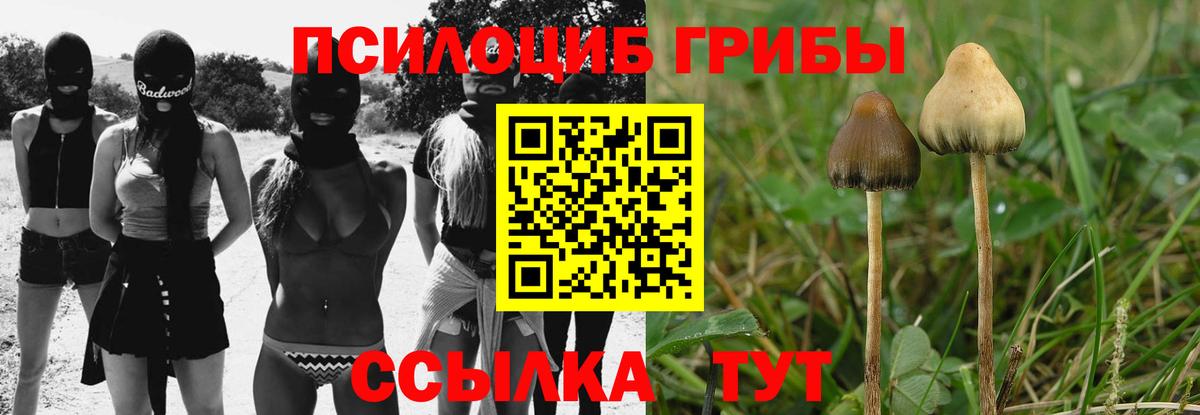 Артёмовский  Галлюциногенные грибы мицелий  Псилоцибиновые грибы ЛСД  Вход с VPN 